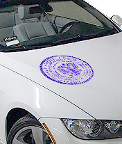 Справка 083 у нового образца